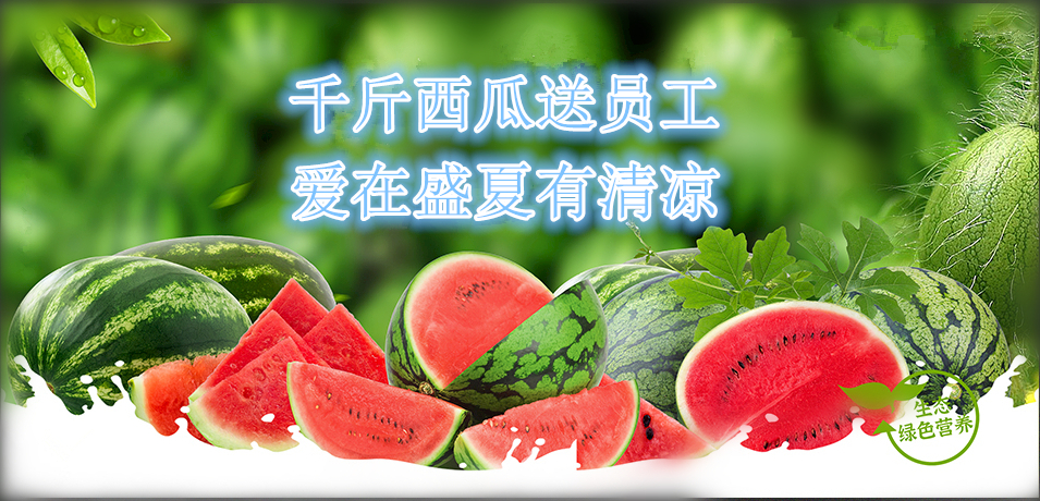 通達(dá)軟件公司： 千斤西瓜送員工，愛在盛夏有清涼